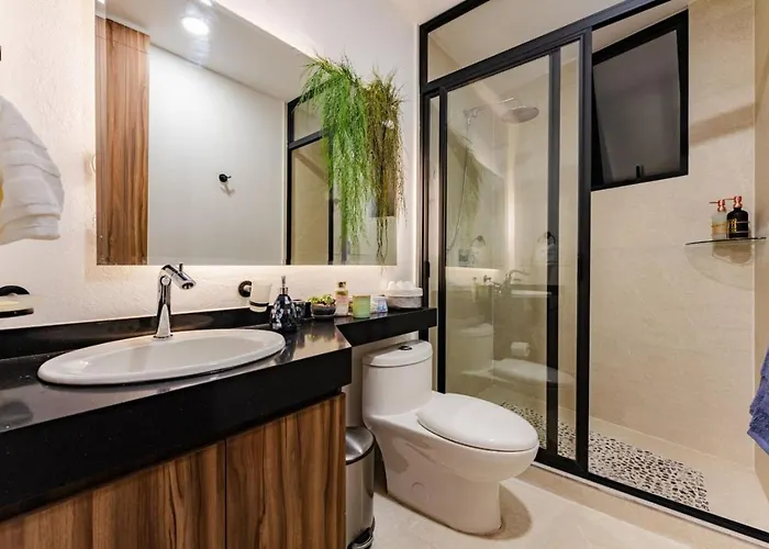 Two Condesa Units With Rooftop Near Parque